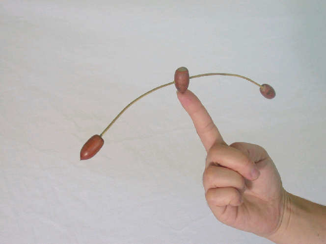 バランスのとり方 が大切 松野恵介 マーケティングコンサルタント Gaea